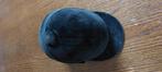 Paardrijcap dames, zwart, maat 54, met kinband, Dieren en Toebehoren, Paardrijkleding, Gebruikt, Ophalen of Verzenden, Dames, Recreatie