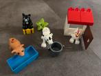 Duplo 10870 & 5643 - Boerderij Dieren, Ophalen of Verzenden, Gebruikt, Complete set, Duplo