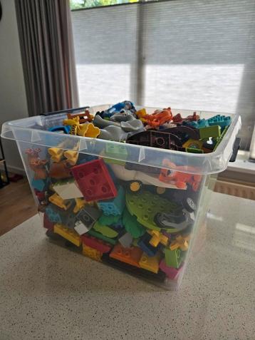 Duplo gesorteerd - 5kg beschikbaar voor biedingen