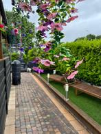 TE HUUR LUXE 6 PERSOONS CHALET ELBURG