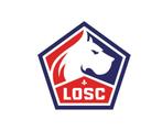 LOSC Lille Tickets, Tickets en Kaartjes, Sport | Voetbal, Twee personen