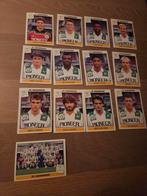Panini Voetbal 1994 Fc Groningen, Ophalen of Verzenden, Zo goed als nieuw, Overige binnenlandse clubs, Poster, Plaatje of Sticker
