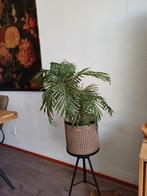 Prachtige kunst palmboom nieuw, Huis en Inrichting, Woonaccessoires | Zuilen en Pilaren, Ophalen of Verzenden, Nieuw