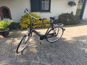 Gazelle Furore 5 versnellingen beschikbaar voor biedingen