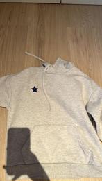 Meet me there trui grijs, Verzenden, Zo goed als nieuw, Maat 36 (S)