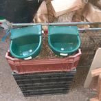 Waterbakjes nieuw voor geiten of schapen, Dieren en Toebehoren, Schapen, Geiten en Varkens, Meerdere dieren, Schaap