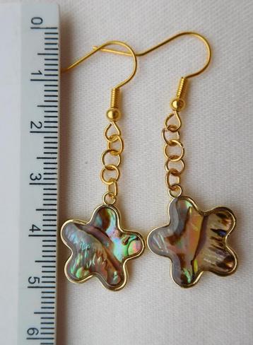 Abalone oorhangertjes (F84138)  beschikbaar voor biedingen