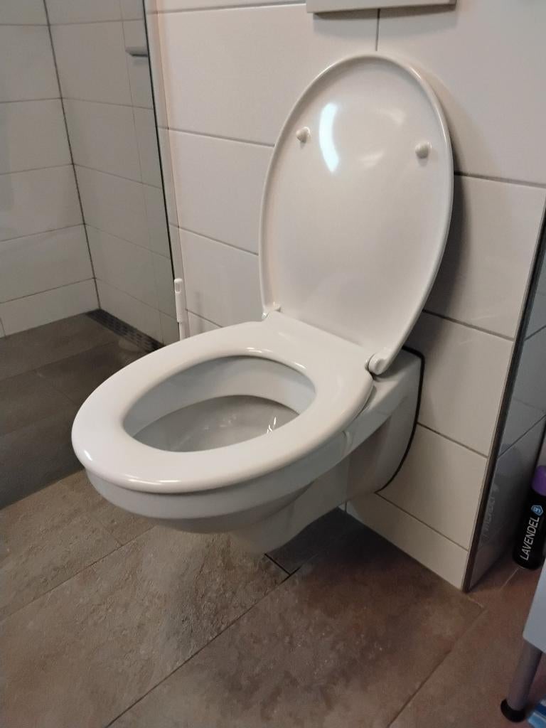 Hangtoilet zonder bril. Gratis af te halen., Ophalen of Verzenden