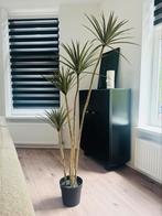 FEJKA kunstplant IKEA 23 cm, Ophalen, Zo goed als nieuw, Binnen