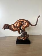 Beeld panter, Ophalen