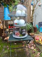 Grote Glazen stolp met decoratie, Huis en Inrichting, Woonaccessoires | Stolpen, Ophalen, Gebruikt