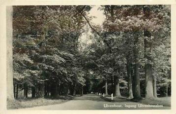 (301-379-021) Ulvenhout Ingang Ulvenhoutsbos beschikbaar voor biedingen
