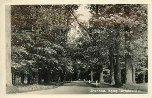 (301-379-021) Ulvenhout Ingang Ulvenhoutsbos, Verzamelen, Ansichtkaarten | Nederland, Noord-Brabant, Verzenden