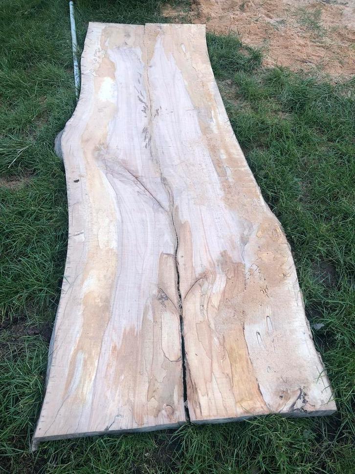 Mooie droge boomstamplanken [TE KOOP], Doe-het-zelf en Verbouw, Hout en Planken, Zo goed als nieuw, Plank, Overige houtsoorten