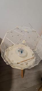 Omlet - Geo vogelkooi - Wit, Dieren en Toebehoren, Vogels | Hokken en Kooien, Ophalen, Gebruikt, Aluminium, Vogelkooi