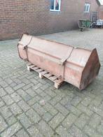 Voorladerbak shovelbak, Juni, Geslacht onbekend