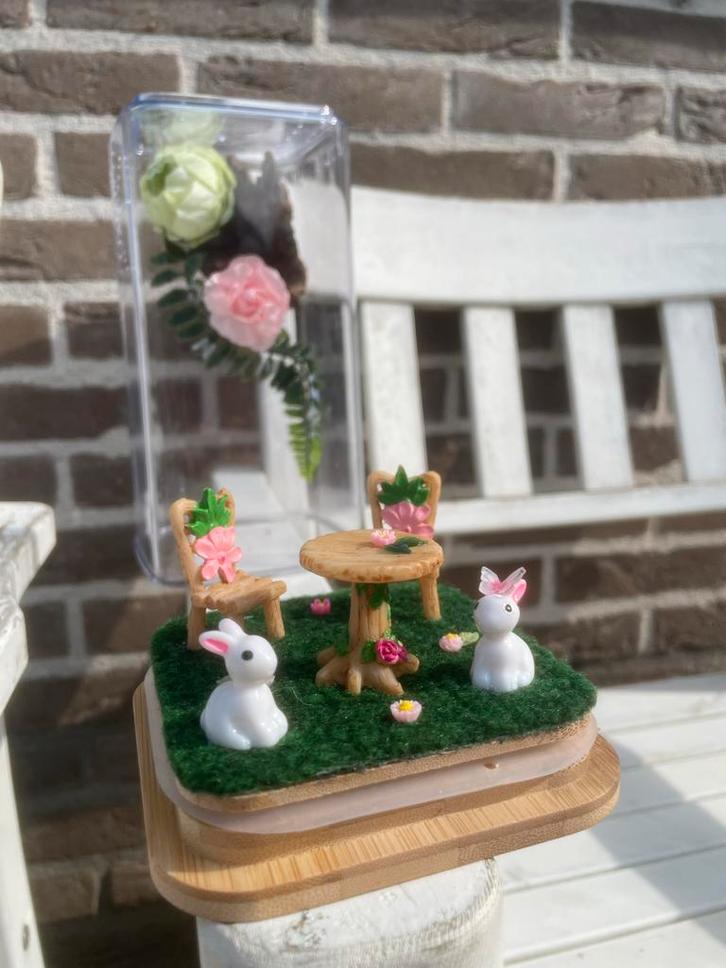 Springspin Terrarium konijn tuintje bloemen, Dieren en Toebehoren, Insecten en Spinnen, Spin of Schorpioen