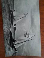 Zeilboten, Ophalen of Verzenden