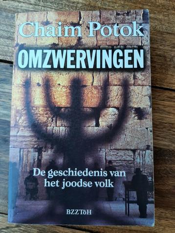 Chaim Potok - Omzwervingen  beschikbaar voor biedingen