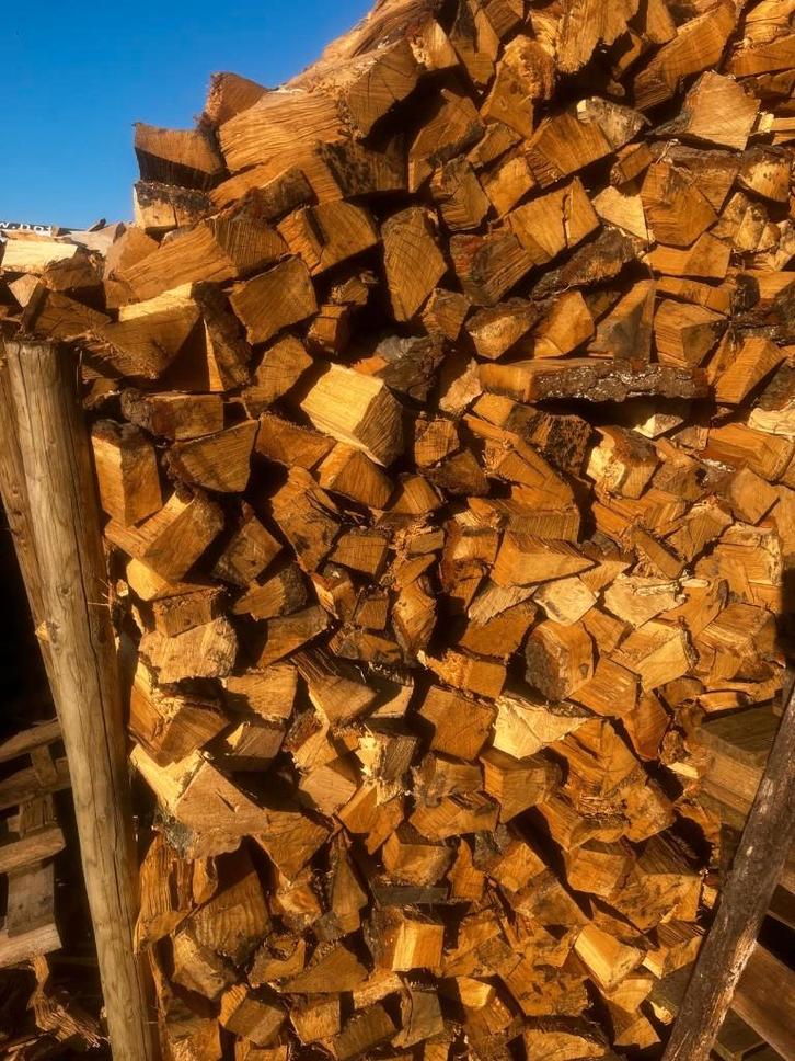 DROOG Brandhout, Tuin en Terras, Haardhout, Blokken, Beukenhout, 6 m³ of meer, Ophalen of Verzenden