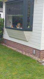 Chalet zonder staanplaats  lunbergen Borger, Caravans en Kamperen, Stacaravans, Tot en met 2