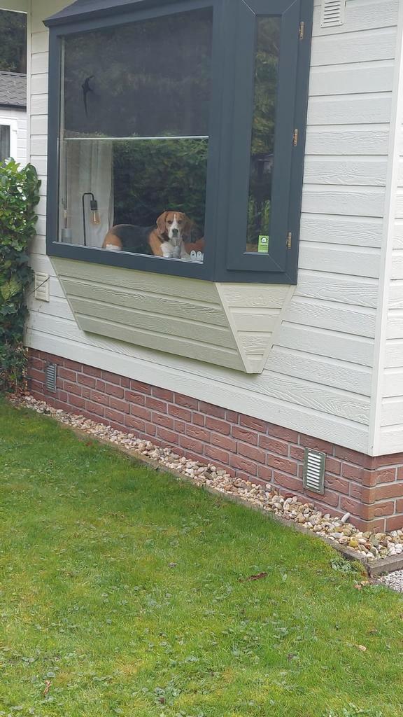 Chalet zonder staanplaats  lunbergen Borger, Caravans en Kamperen, Stacaravans, tot en met 2, Ophalen