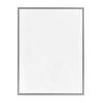 Zilveren Wissellijst 50x65, Ophalen, Gebruikt, Minder dan 50 cm