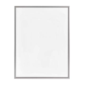 Zilveren Wissellijst 50x65 beschikbaar voor biedingen