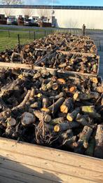 Brandhout, Tuin en Terras, Haardhout, Minder dan 3 m³, Ophalen of Verzenden