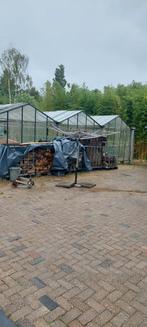 Kas venlo, Ophalen, Glas, Gebruikt, Staal