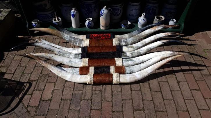Longhorn, Verzamelen, Dierenverzamelingen, Nieuw, Beeldje of Figuurtje, Ophalen of Verzenden