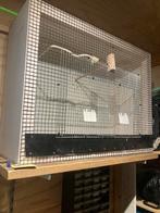 Broedkooi, Dieren en Toebehoren, Ophalen, Zo goed als nieuw, Hout, Broedkooi of Kweekkooi