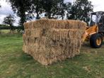 Te koop: Top kwaliteit hooi. Seizoen 2025, Dieren en Toebehoren, Dierenvoeding, Ophalen of Verzenden, Vee