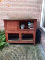 Konijnenhok, 2 verdiepingen met extra's, Dieren en Toebehoren, Ophalen, 110 cm of meer, Hok, 90 cm of meer