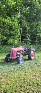 Massey ferguson mf 35, Zakelijke goederen, Agrarisch | Tractoren, Ophalen, Tot 80 Pk, Massey Ferguson
