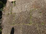 Grindtegels, Ophalen, Gebruikt, 10 m² of meer, Beton