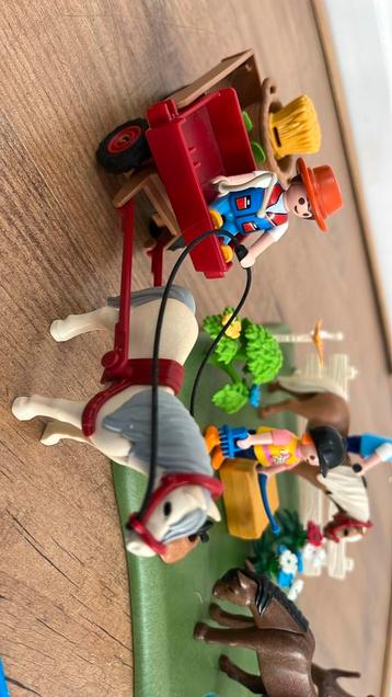 Playmobil 5457 Jubileumset Ponyweide met Hooiwagen beschikbaar voor biedingen