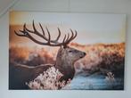 Canvas schilderij, Ophalen, Zo goed als nieuw, Schilderij, 100 tot 125 cm