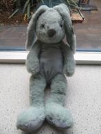 Konijn merk Evora FUNNY BUNNY Kruidvat groenig, Ophalen of Verzenden, Nieuw, Konijn
