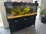 Aquarium 338 L, 150 cm onderkast, Eheim Professional 4+ pomp, Dieren en Toebehoren, Vissen | Aquaria en Toebehoren, Ophalen, Gebruikt