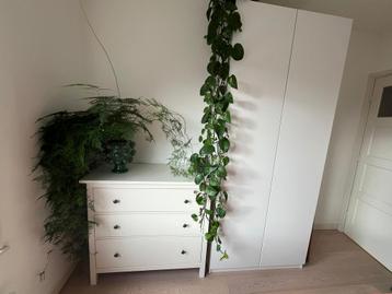 Ikea Pax forsand kast - afbeelding 3