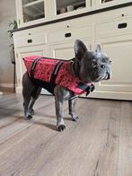 Zwemvest roze, Dieren en Toebehoren, Hondenkleding, Ophalen of Verzenden, Zo goed als nieuw