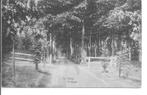 DeSteeg 't Asselt, Ophalen of Verzenden, 1920 tot 1940, Gelopen, Gelderland