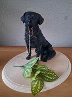 Mooi nieuw beeld te koop van de labrador, Verzamelen, Beelden en Beeldjes, Ophalen of Verzenden, Nieuw, Dier