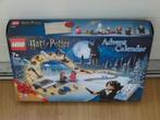 LEGO 75981 Harry Potter Adventskalender 2020 nieuw, Ophalen of Verzenden, Nieuw, Complete set, Lego