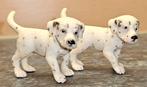 Schleich Dalmatier puppy, Ophalen of Verzenden, Gebruikt, Hond of Kat, Beeldje of Figuurtje