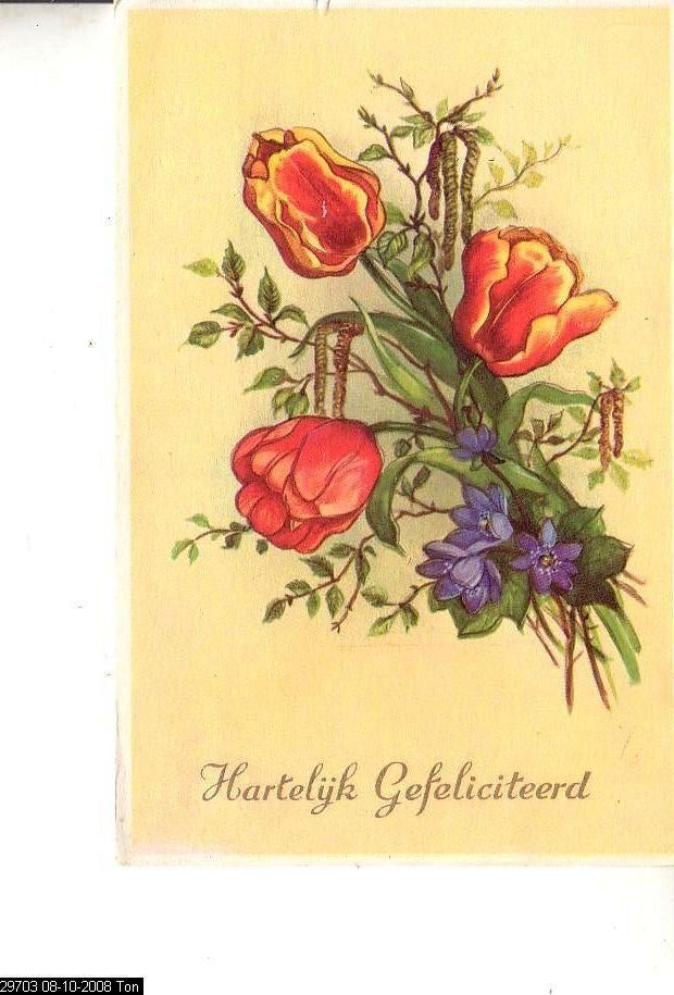 Ansichtkaart	Bloemen  	Tulpen, Verzenden, 1940 tot 1960, Ongelopen, Natuur
