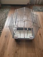 Vogelkooi, Dieren en Toebehoren, Ophalen of Verzenden