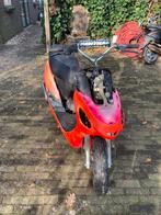 Peugeot scooter, Ophalen, Zo goed als nieuw, Benzine, Overige modellen