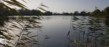 Recreatiegrond De Zande IJssel Kampen beschikbaar voor biedingen